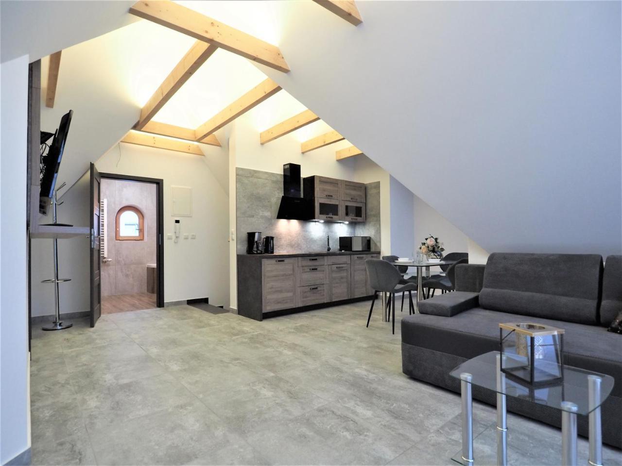 Vip Apartamenty Folk Residence ザコパネ エクステリア 写真